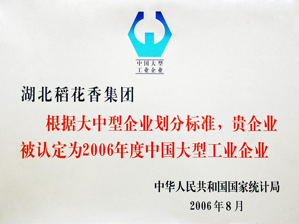 2006年8月，尊龙凯时集团被国家统计局认定为”中国大型工业企业“